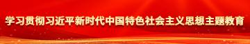 动漫美女日逼学习贯彻习近平新时代中国特色社会主义思想主题教育