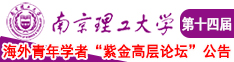 插插好逼南京理工大学第十四届海外青年学者紫金论坛诚邀海内外英才！